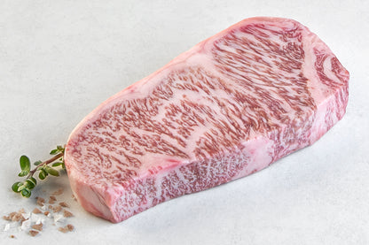 Ultimate Strip Sampler Collection - product view 5